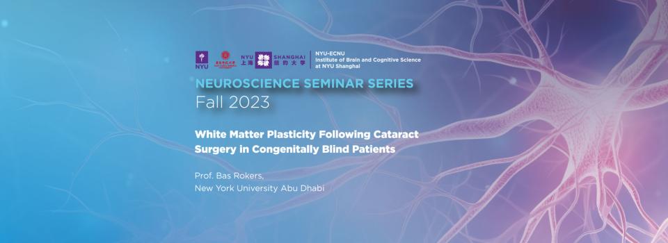 White matter plasticity following cataract surgery in congenitally blind patients