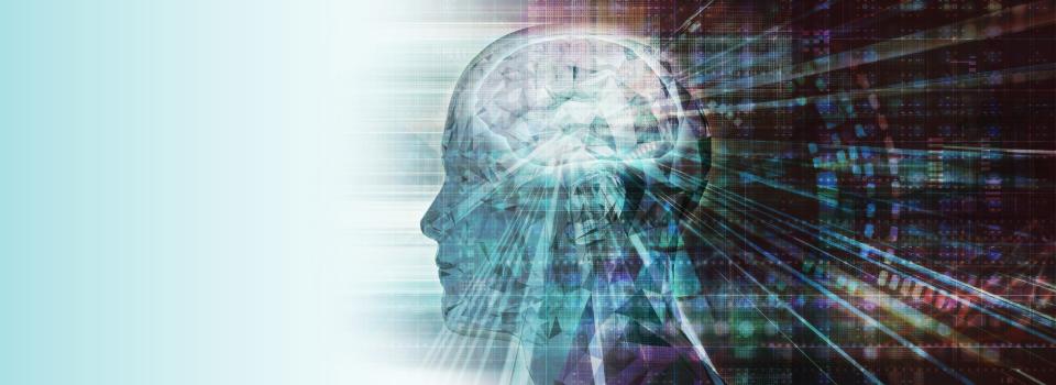 Scientists propose a new theory on how basal ganglia control actions