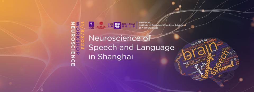 Neuroscience of speech and language in Shanghai