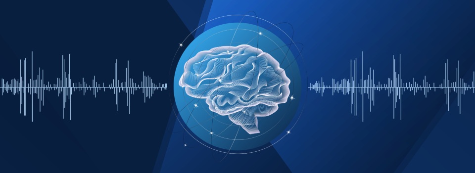 Research shows how auditory training reshapes Hippocampus-related functions outside of the Auditory System