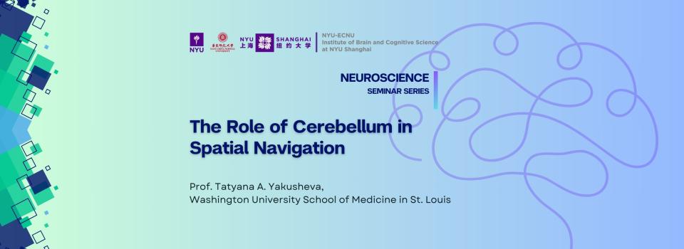 The Role of Cerebellum in Spatial Navigation