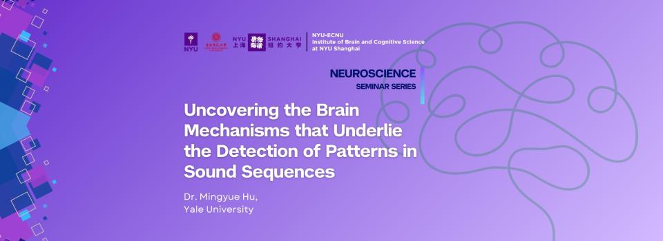 Uncovering the Brain Mechanisms that Underlie the Detection of Patterns in Sound Sequences