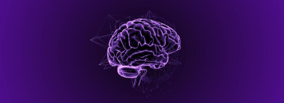 Study Identifies New Neural Network in Human Language and Speech Production