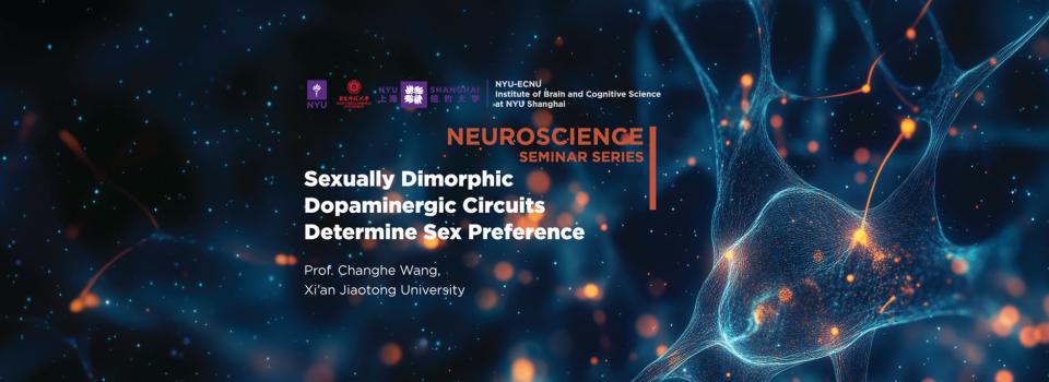 Sexually dimorphic dopaminergic circuits determine sex preference
