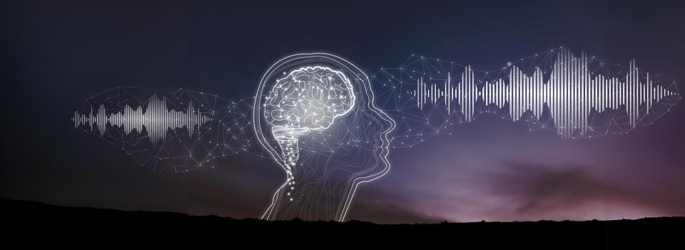 New study reveals how early life stress impairs auditory processing—and how sound therapy may reverse it