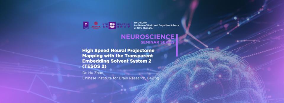 High speed neural projectome mapping with the Transparent Embedding Solvent System 2 (TESOS 2)