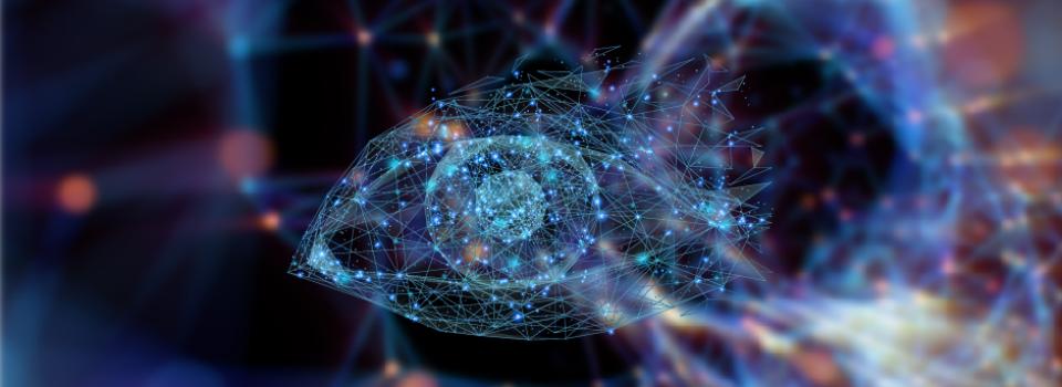 NYU Shanghai Chief Scientist Explores Current Directions in Visual Perceptual Learning