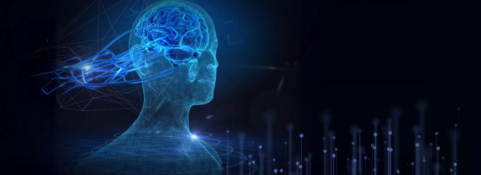 Prof. Xin Jin’s Team Uncover Neural Mechanisms Behind Action Repetition and Switching — Offering New Hope for Autism and OCD Treatment