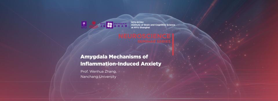 Amygdala Mechanisms of Inflammation-Induced Anxiety