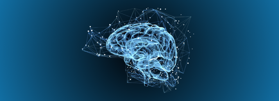 How Different Pathways in the Brain Work Together to Control Movement