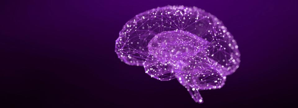 Research Unveils a New Mechanism by Which the Brain Measures Time