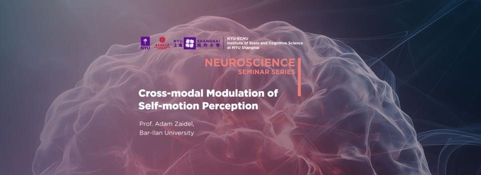 Cross-modal modulation of self-motion perception