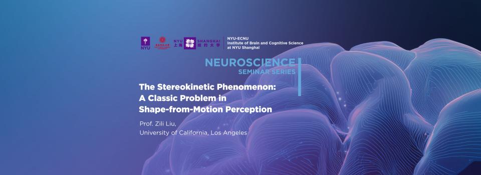 The Stereokinetic Phenomenon: A Classic Problem in Shape-from-Motion Perception