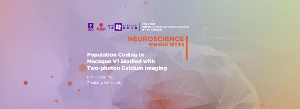 Population coding in macaque V1 studied with two-photon calcium imaging