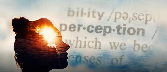 Who Can Become an Expert? NYU Shanghai Researcher Says General Perceptual Learning Ability Matters