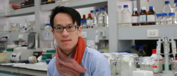 Hippocampal System is Indispensable for Adapting to Changes in Temporal Structure in Memory