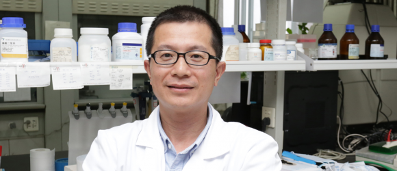 Early Auditory Training Yields Positive Cognitive Results into Older Age