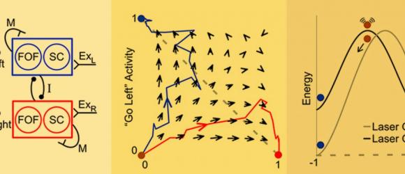 New Evidence for Short Term Memory Theory