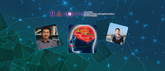 Research Gains Insights into Mechanisms for Second Language Acquisition 