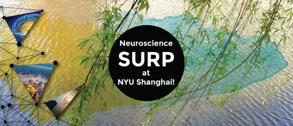 Nurturing Science Careers: NYU Shanghai’s Incubator for Future Neuroscientists