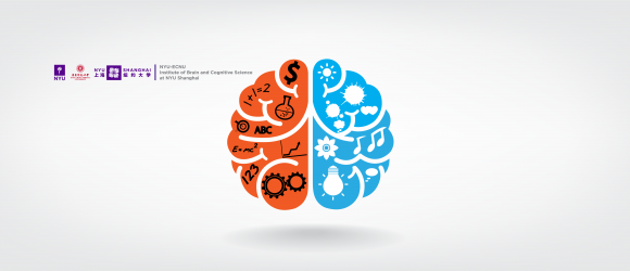 Researchers Pinpoint a Brain Region that Supports Retrospective Success in Monkeys