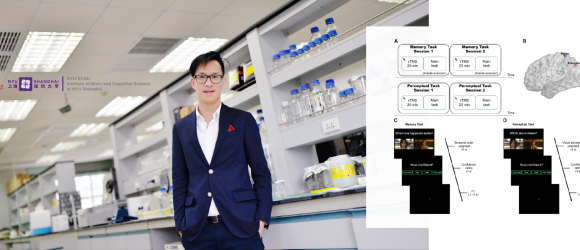 New Study Identifies Neural Hub for Memory Metacognition