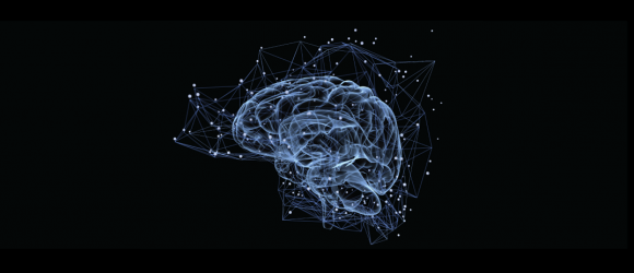 Scientists Outline How Brain Separates Relevant & Irrelevant Information