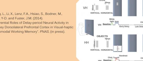 Yongdi Zhou and Liping Wang’s Paper Published on PNAS
