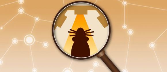 NYU Shanghai Faculty Research: Rapid Executive Control of Behavior in the Rat