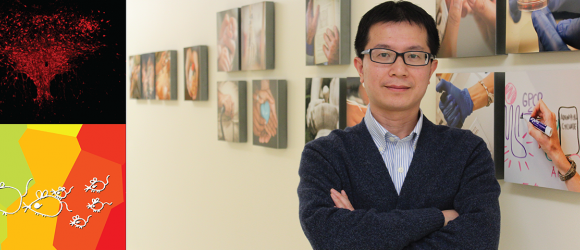Xiaoming Zhou Discovers Potential Therapeutic Treatment Strategies for Autistic Patients