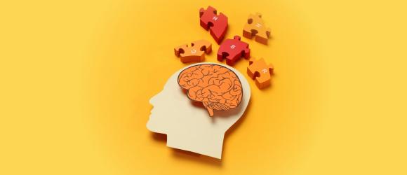 Focusing on Brain and Language: Professor Qing Cai’s Team and Collaborators Publish Multiple Research