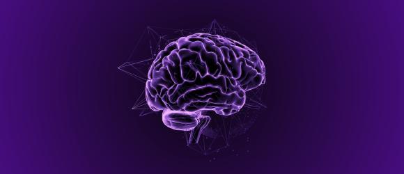 Study Identifies New Neural Network in Human Language and Speech Production