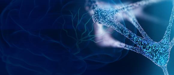 Neuroscience + Mathematics: Better Understanding How We Learn and Memorize