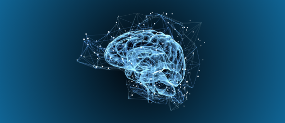 How Different Pathways in the Brain Work Together to Control Movement